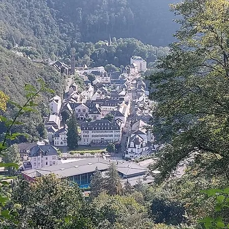 Villa Bad Bertrich *