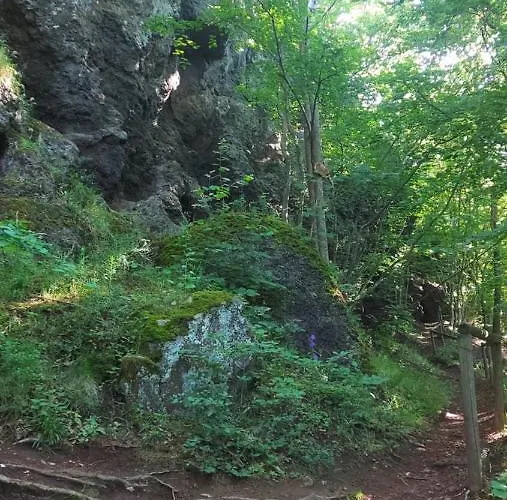 Villa Bad Bertrich *